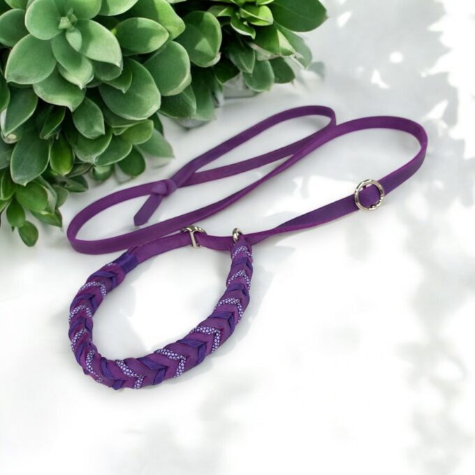 guinzaglio-retriever-cuoio-intrecciato-personalizzato-cane-fatto-a-mano-personalizzabile-nome-inciso-massiccio-taglia-grande-resistente-cuoio-nima-nimapet