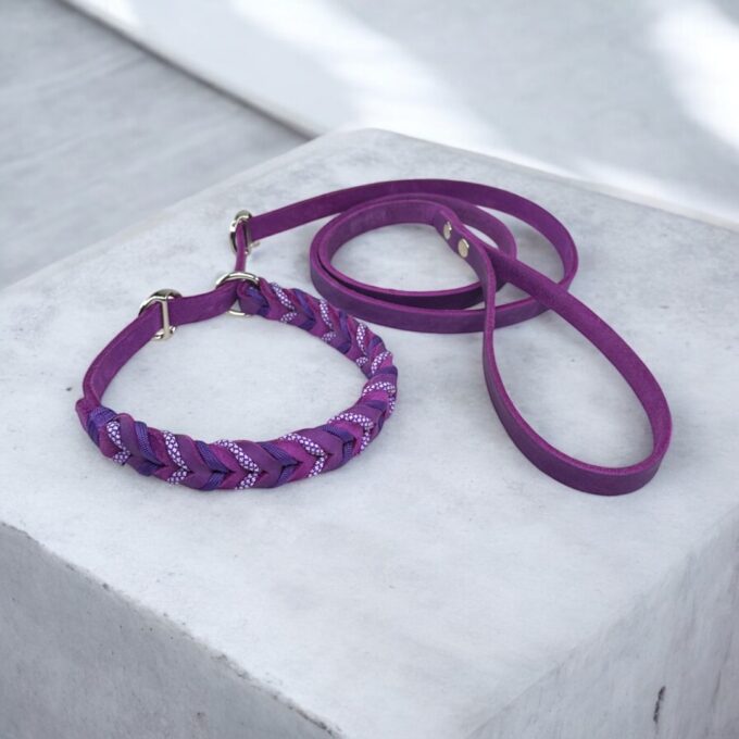 guinzaglio-retriever-cuoio-intrecciato-personalizzato-cane-fatto-a-mano-personalizzabile-nome-inciso-massiccio-taglia-grande-resistente-cuoio-nima-nimapet