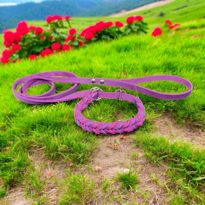 guinzaglio-retriever-cuoio-intrecciato-personalizzato-cane-fatto-a-mano-personalizzabile-nome-inciso-massiccio-taglia-grande-resistente-cuoio-nima-nimapet