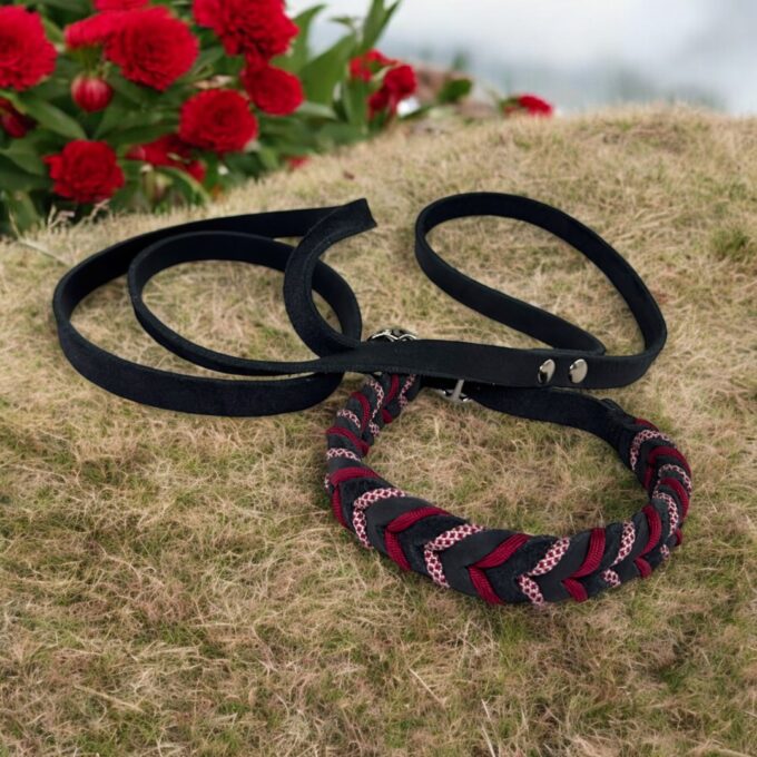guinzaglio-retriever-cuoio-intrecciato-personalizzato-cane-fatto-a-mano-personalizzabile-nome-inciso-massiccio-taglia-grande-resistente-cuoio-nima-nimapet