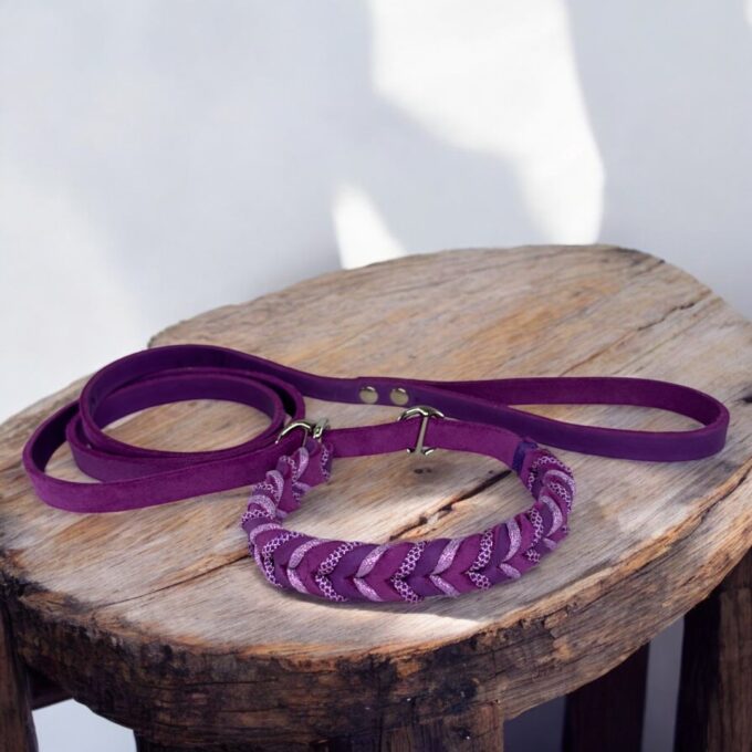 guinzaglio-retriever-cuoio-intrecciato-personalizzato-cane-fatto-a-mano-personalizzabile-nome-inciso-massiccio-taglia-grande-resistente-cuoio-nima-nimapet