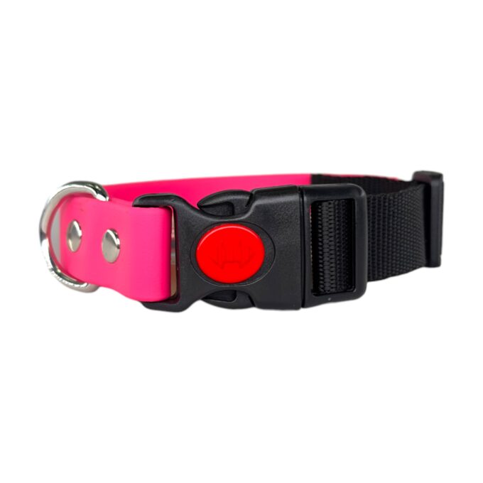 nima-nimapets-collare-biothane-cane-personalizzato-in-biothane-e-fettuccia-regolabile-impermeabile-resistente-per-cani-tecnico-per-cani
