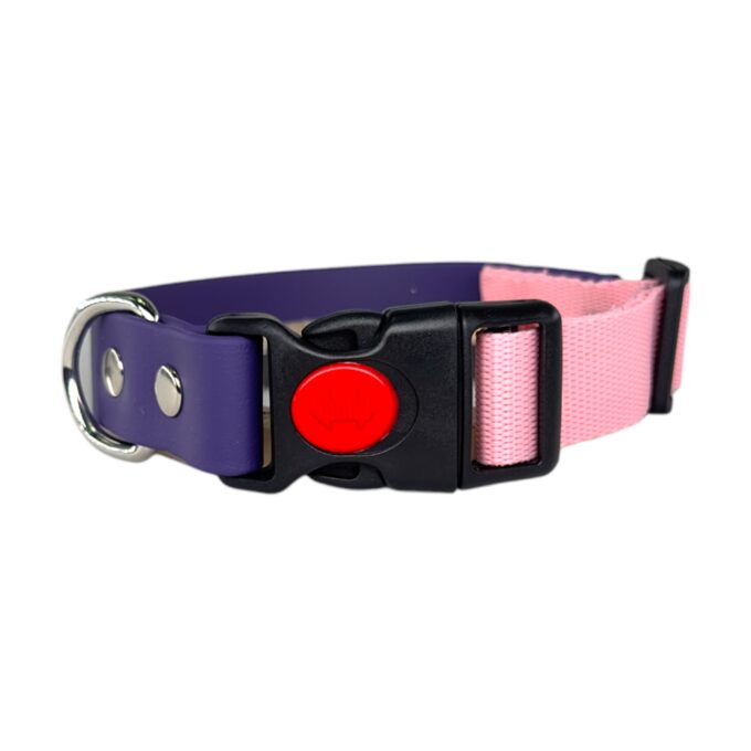 nima-nimapets-collare-biothane-cane-personalizzato-in-biothane-e-fettuccia-regolabile-impermeabile-resistente-per-cani-tecnico-per-cani