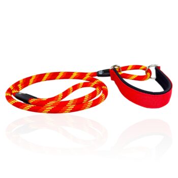 guinzaglio-con-collare-unito-martingala-personalizzato-integrato-2-in-1-regolabile-cani-energici-nome-fatto-a-mano-unito-collare-guinzaglio-guinzaglio-unito-per-addestramento-nima-nimapets