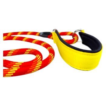 guinzaglio-con-collare-unito-martingala-personalizzato-integrato-2-in-1-regolabile-cani-energici-nome-fatto-a-mano-unito-collare-guinzaglio-guinzaglio-unito-per-addestramento-nima-nimapets