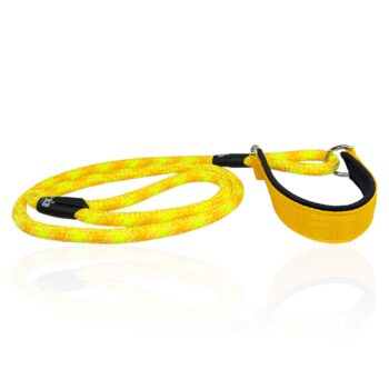guinzaglio-con-collare-unito-martingala-personalizzato-integrato-2-in-1-regolabile-cani-energici-nome-fatto-a-mano-unito-collare-guinzaglio-guinzaglio-unito-per-addestramento-nima-nimapets