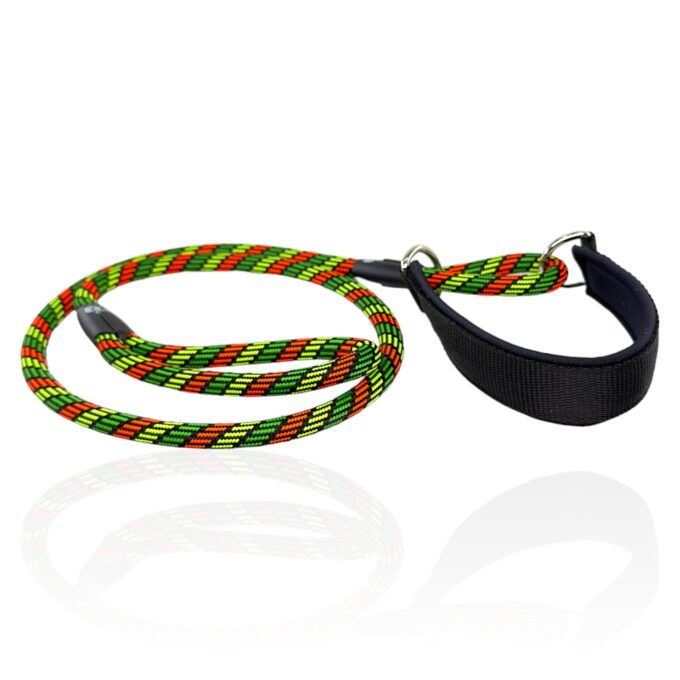 guinzaglio-con-collare-unito-martingala-personalizzato-integrato-2-in-1-regolabile-cani-energici-nome-fatto-a-mano-unito-collare-guinzaglio-guinzaglio-unito-per-addestramento-nima-nimapets