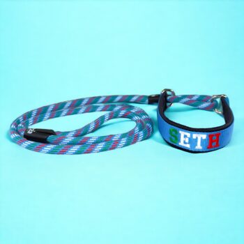 guinzaglio-con-collare-unito-martingala-personalizzato-integrato-2-in-1-regolabile-cani-energici-nome-fatto-a-mano-unito-collare-guinzaglio-guinzaglio-unito-per-addestramento-nima-nimapets